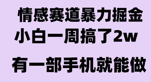 情感暴力掘金项目,新人操作一周挣了2W,长期稳定小白可做【揭秘】-十九云栈十九云栈