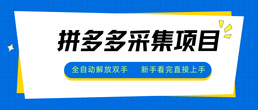 拼多多采集项目,全自动解放双手,单号日入30+-十九云栈十九云栈