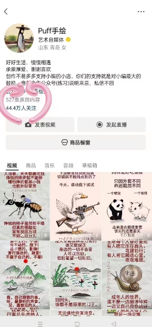 Puff手绘视频号分成项目，三天过分成计划，简单易上手，适合新手-十九云栈十九云栈