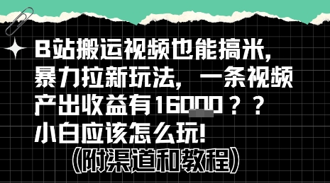 b站掘金计划？搬运视频也能挣拉新的收益，小白应该怎么玩！-十九云栈十九云栈