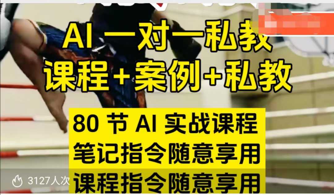 AI指令实战课,课程+案例,80节AI实战课程,笔记指令随意享用,课程指令随意享用(更新7月)-十九云栈十九云栈