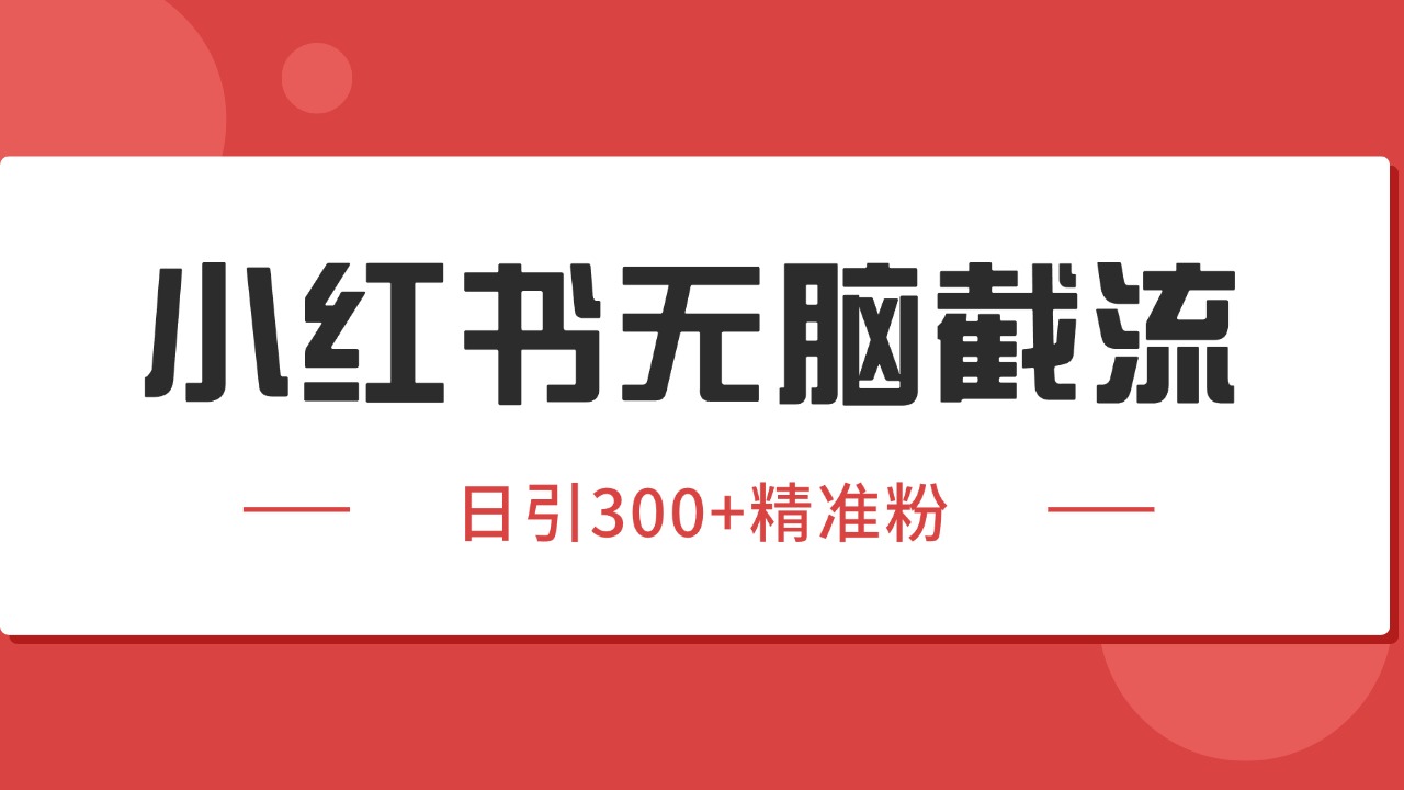小红书截流同行客源,独家野路子获客玩法 日引200+暴力获客-十九云栈十九云栈