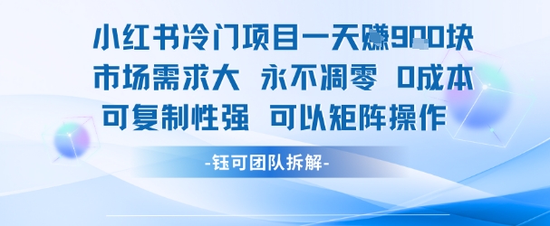 小红书冷门项目一天收益9张，市场需求大，0成本，可复制性强可以矩阵操作-十九云栈十九云栈