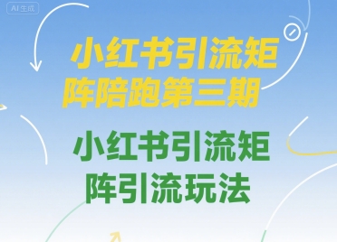 小红书引流矩阵陪跑第三期,小红书引流矩阵引流玩法-十九云栈十九云栈