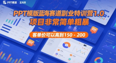 PPT模版蓝海赛道副业特训营1.0,项目非常简单粗暴,客单价可以高到150-200-十九云栈十九云栈