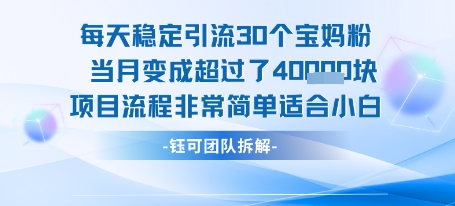 每天稳定引流30个人 当月变成超过了4个W项目流程非常简单适合小白-十九云栈十九云栈